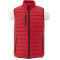 Veste en duvet légère Whistler pour hommes